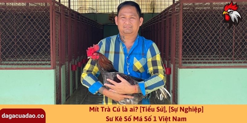 Mít Trà Cú là ai? [Tiểu Sử], [Sự Nghiệp] Sư Kê Số Má Số 1 Việt Nam