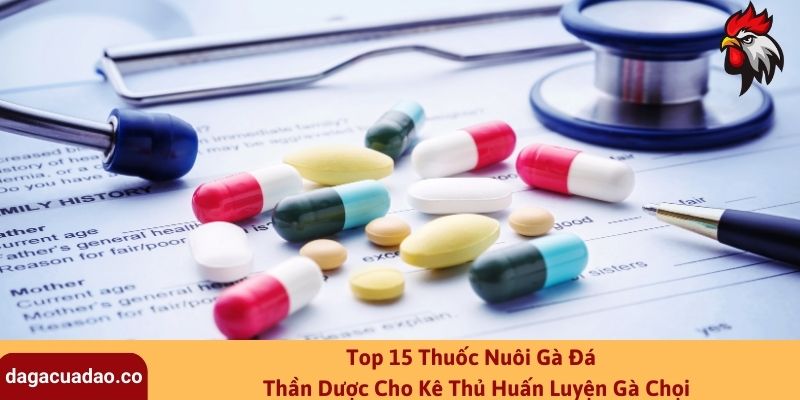 Top 15 Thuốc Nuôi Gà Đá - Thần Dược Cho Kê Thủ Huấn Luyện Gà Chọi